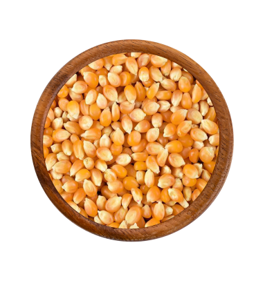 Mısır